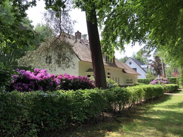 Aanplant rhododendrons driebergen