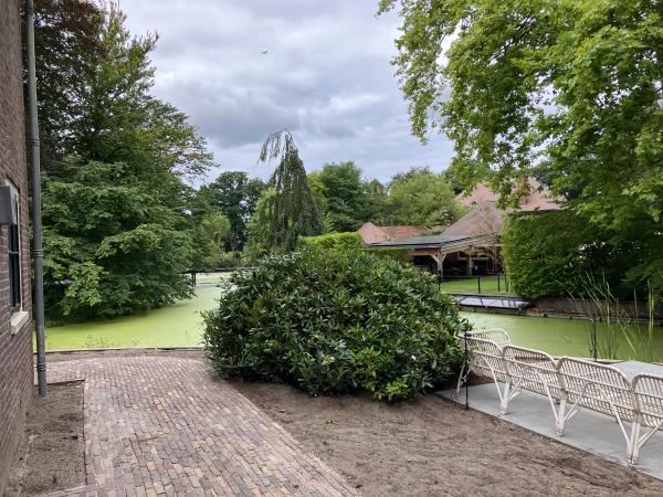 Cunningham bloeitijd april