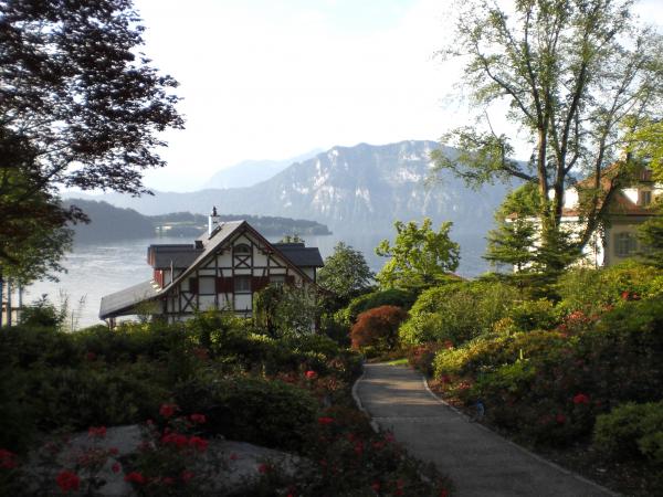 Rhododendron Border Bouquet with Japanese Azalea